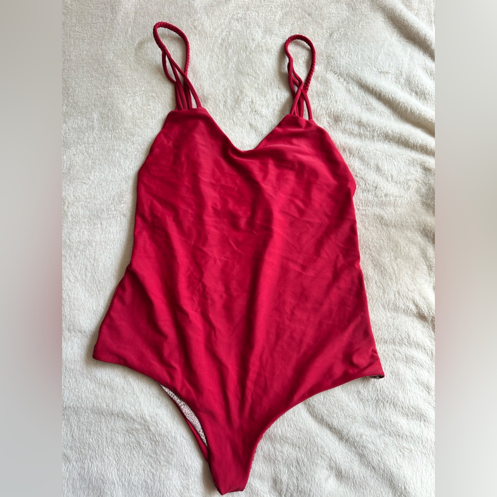 Acacia XL Capetown